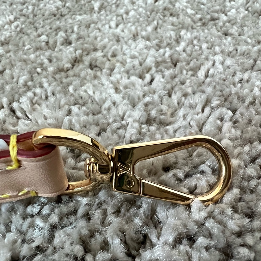 Louis Vuitton By the Pool Brume Mist Bandouliere Strap - Picture 5 of 8